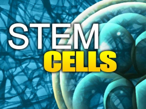 Stem Cells Orange County